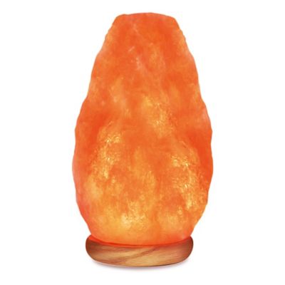 Himalayan Glow XXL Ionic Natural Salt Crystal Lamp - Bed Bath & Beyond